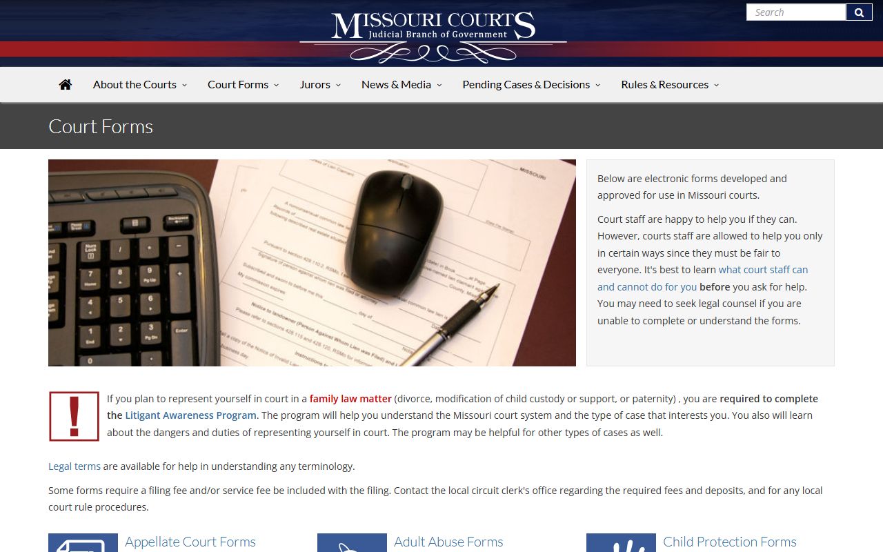 St. Louis 22nd Circuit Court forms and filing resources