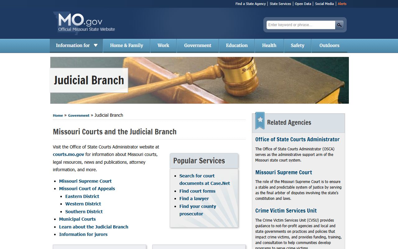 Missouri state portal judicial branch page for court records